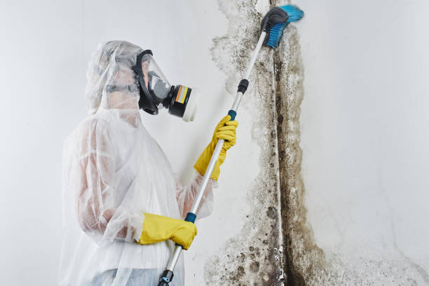 Sunman, IN Mold Remediation Company